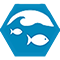 Agua icon